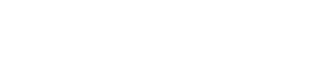 ejes de accion de la Fundación Pablo Landsmanas